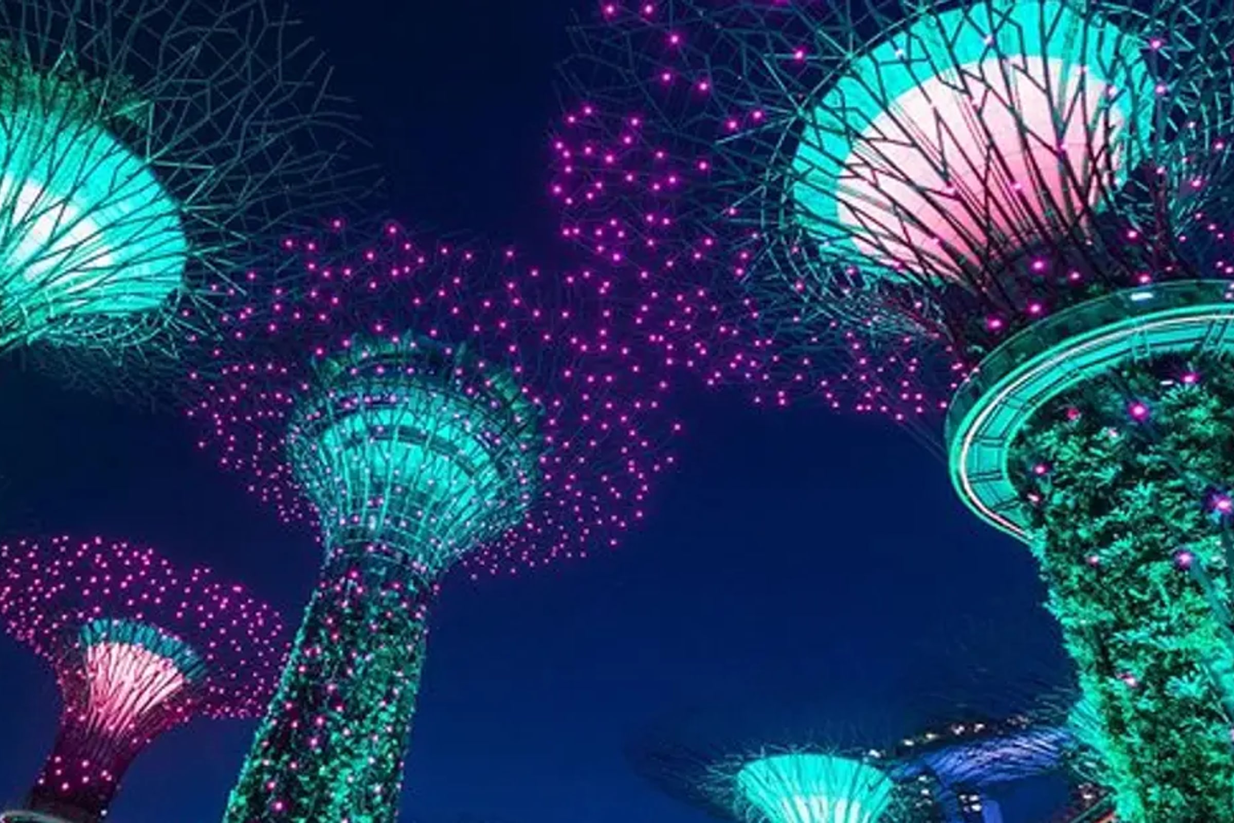 Private Tour: Nighttime Sightseeing with River Cruise